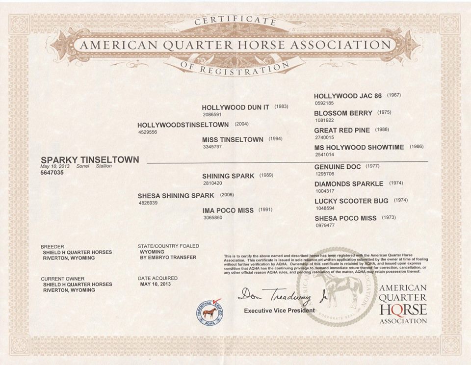 Sparky Tinseltown reining horse for sale