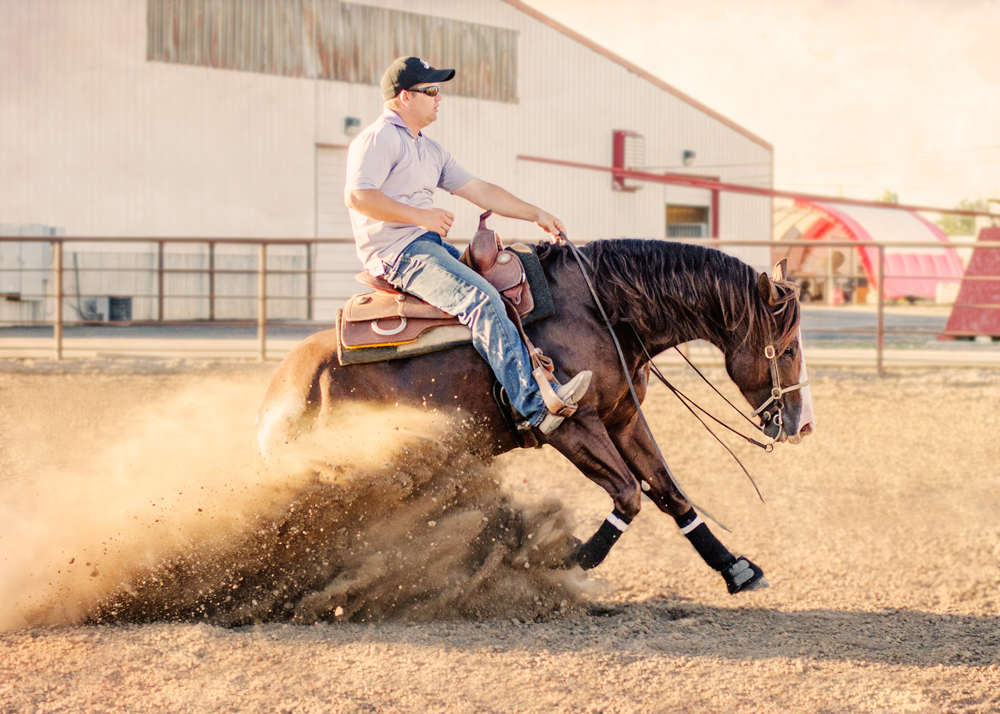 Dun Bein Smart Dun Bein Smart reining stallion utah