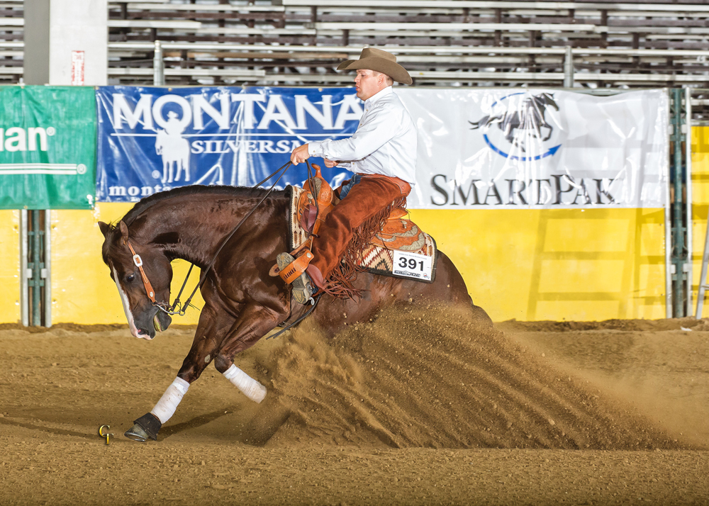 Dun Bein Smart reining stallion ogden utah