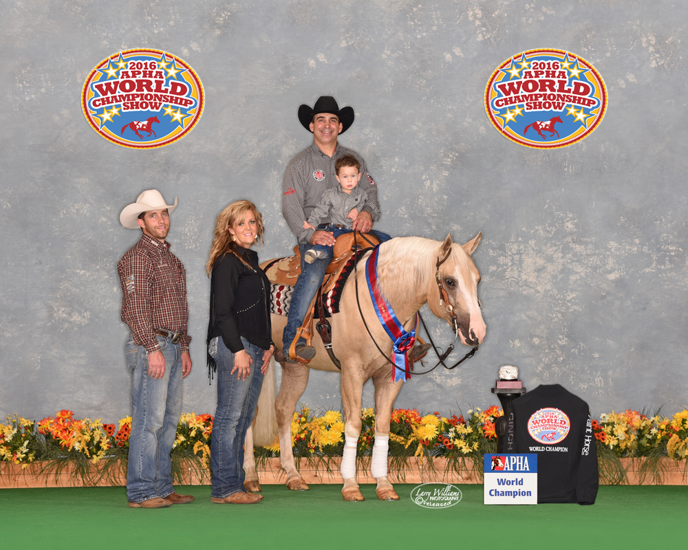 KR Gun Powder KR Gun Powder reining horse