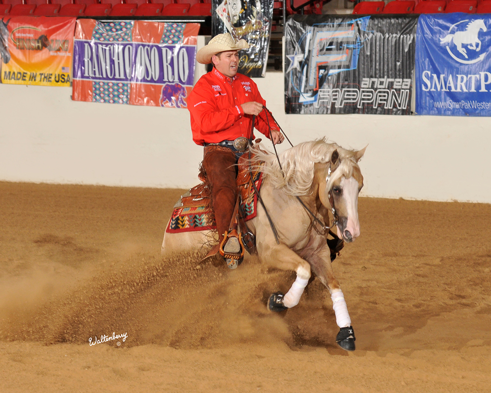 KR Gun Powder KR Gun Powder reining horse